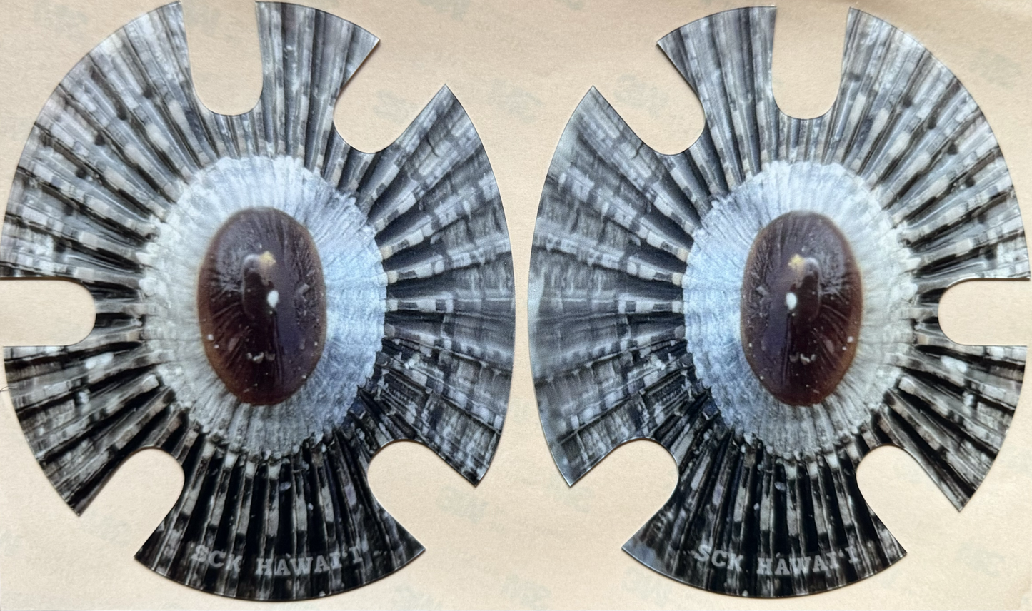 HEADGEAR DECALS - Assorted